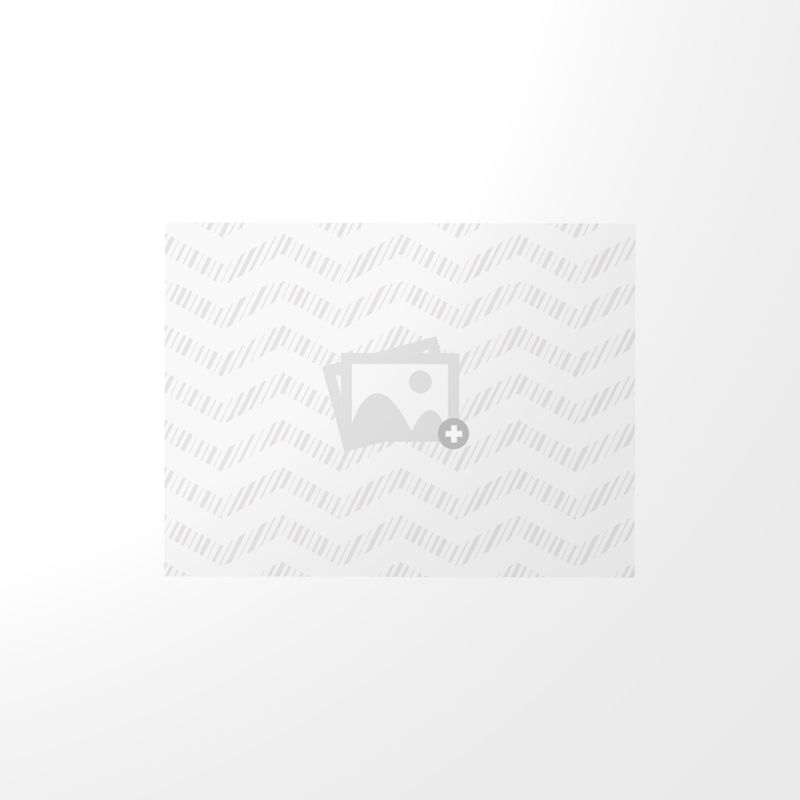 Art Deco Palm Leaf Terra Cotta Serving Tray